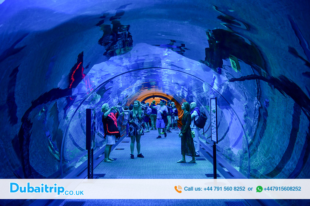 Dubai-Aquarium