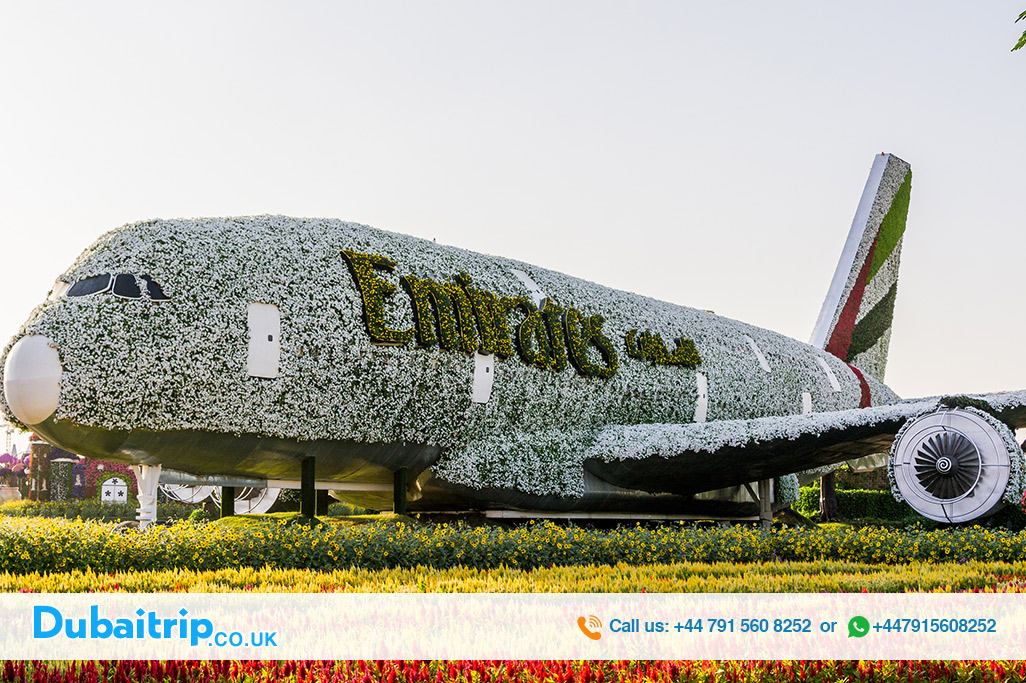 Dubai-Miracle-Garden